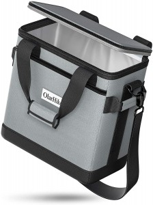 Wholesale Customized High Quality Low Price Time Refrigerated Bag with Hard Lining Heat Insulation Bag