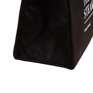 Oem Reasonable Price Custom Non Woven Thermal Cooler Bag Insulated Lunch Bag Logo