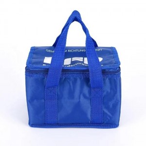 Custom Logo Portable Waterproof Reusable Cooler Bag Outdoor Eco-friendly Insulated Picnic Bag Leakproof Tote Bag