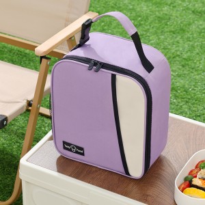 Wholesale Custom Reusable Large Capacity Insulated Cooler Bags With Handle