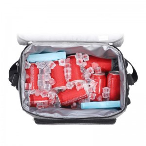 Accept Customized Logo Hign Quality Picnic Cooler Soft Box Lunch Cooler Bag For Camping