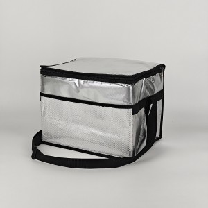 Factory Custom Outdoor Cooler Bags Food Cooler Lunch Bag With Shoulder Strap