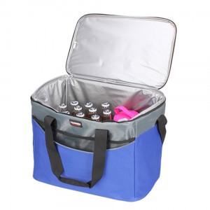 Wholesale New Design Custom Logo Non Woven Cooler Bag Large Capacity Foldable Fresh Food Container Picnic Bag