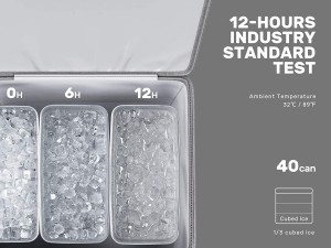 Wholesale Customized High Quality Low Price Time Refrigerated Bag with Hard Lining Heat Insulation Bag