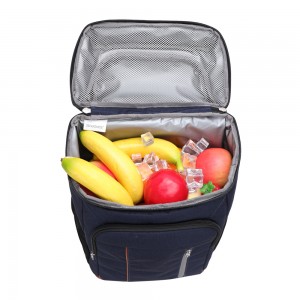 Custom Logo Double-layer Thermal Insulation Backpack Large-capacity Outdoor Picnic Bag Cooler Bag